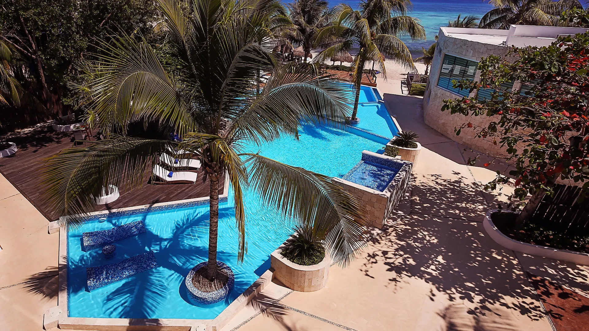 Le Reve By Mij - Beachfront Hotel (Adults Only) Playa del Carmen